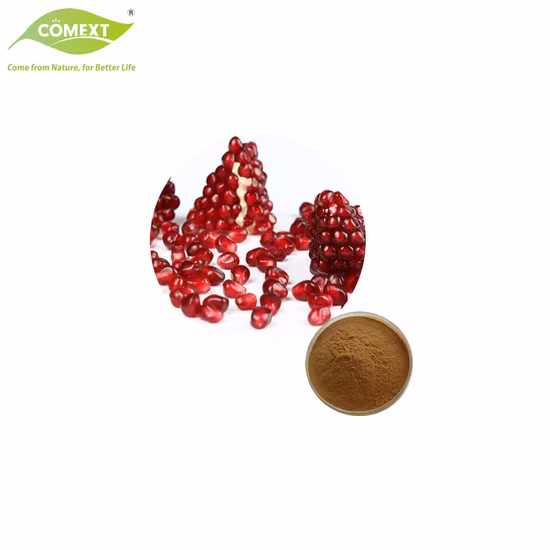 Free Sample Cosmetic Material Plant Extract 40% Ellagic Acid Pomegranate Extract