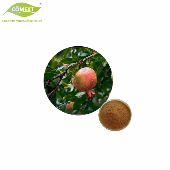 Free Sample Cosmetic Material Plant Extract 40% Ellagic Acid Pomegranate Extract