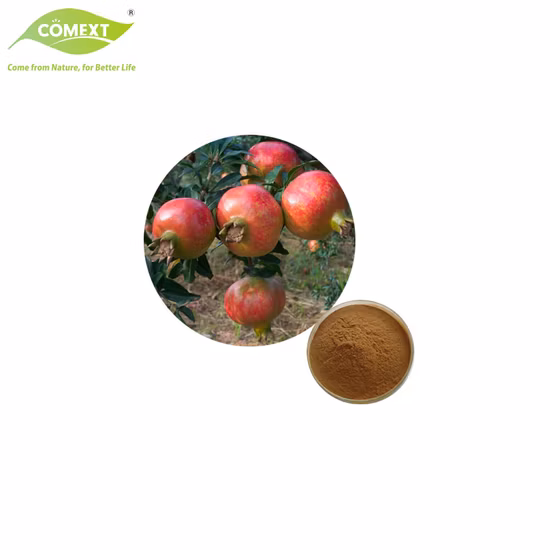 Free Sample Cosmetic Material Plant Extract 40% Ellagic Acid Pomegranate Extract