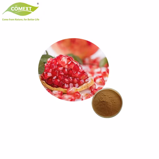 Free Sample Cosmetic Material Plant Extract 40% Ellagic Acid Pomegranate Extract