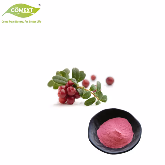 Comext Supply 100% extrait naturel pur de plante poudre de canneberge poudre de jus proanthocyanidines extrait de canneberge