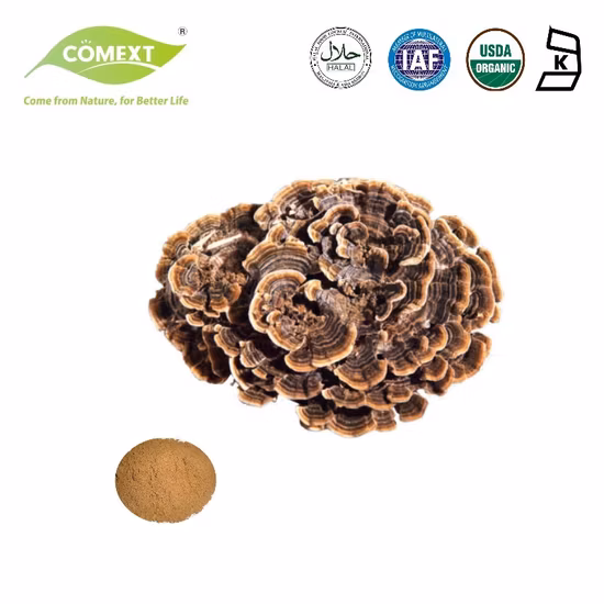 Queue de dinde de poudre d'extrait de polysaccharide Coriolus Versicolor